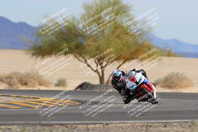 media/Nov-05-2022-SoCal Trackdays (Sat) [[f8d9b725ab]]/Turn 4 Tree of Life (125pm)/